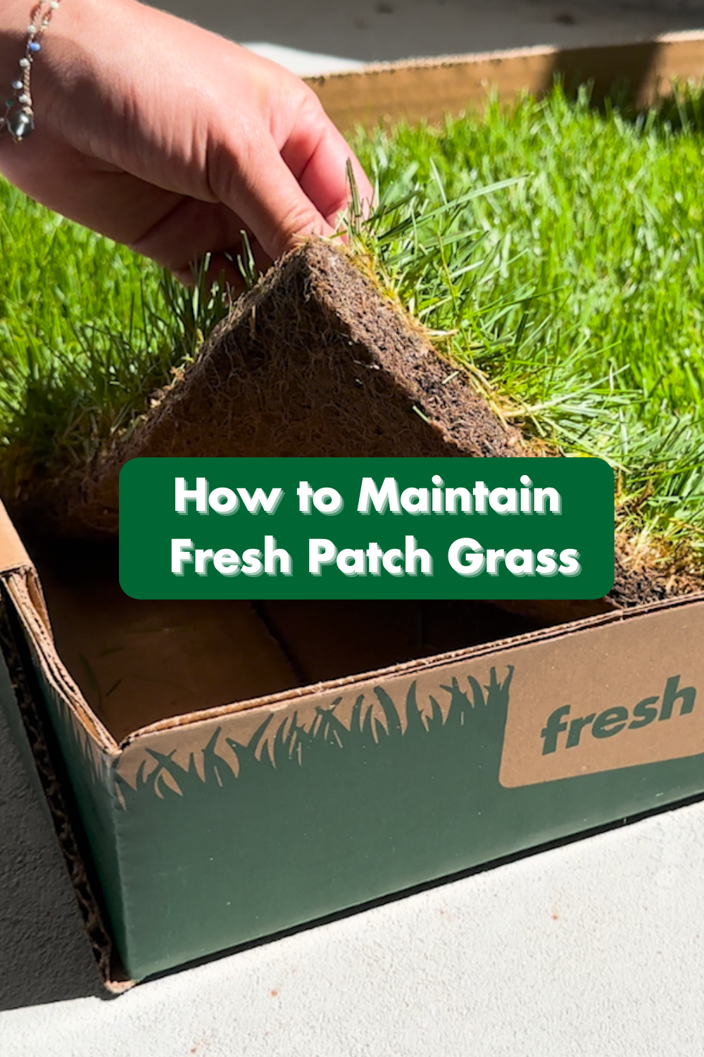 How To Maintain Fresh Patch Grass