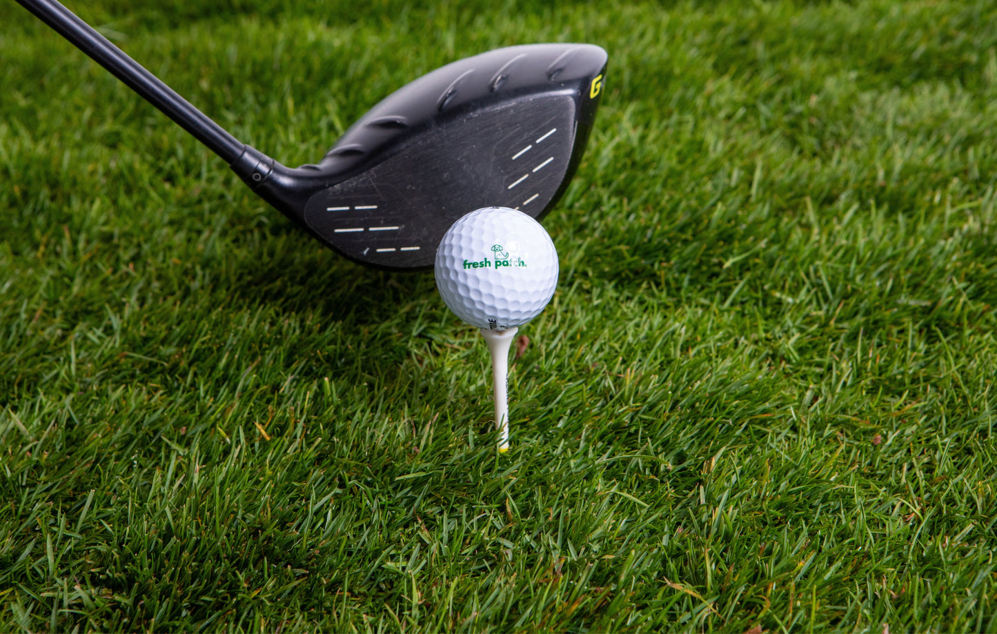 Golf club and ball on a tee in grass