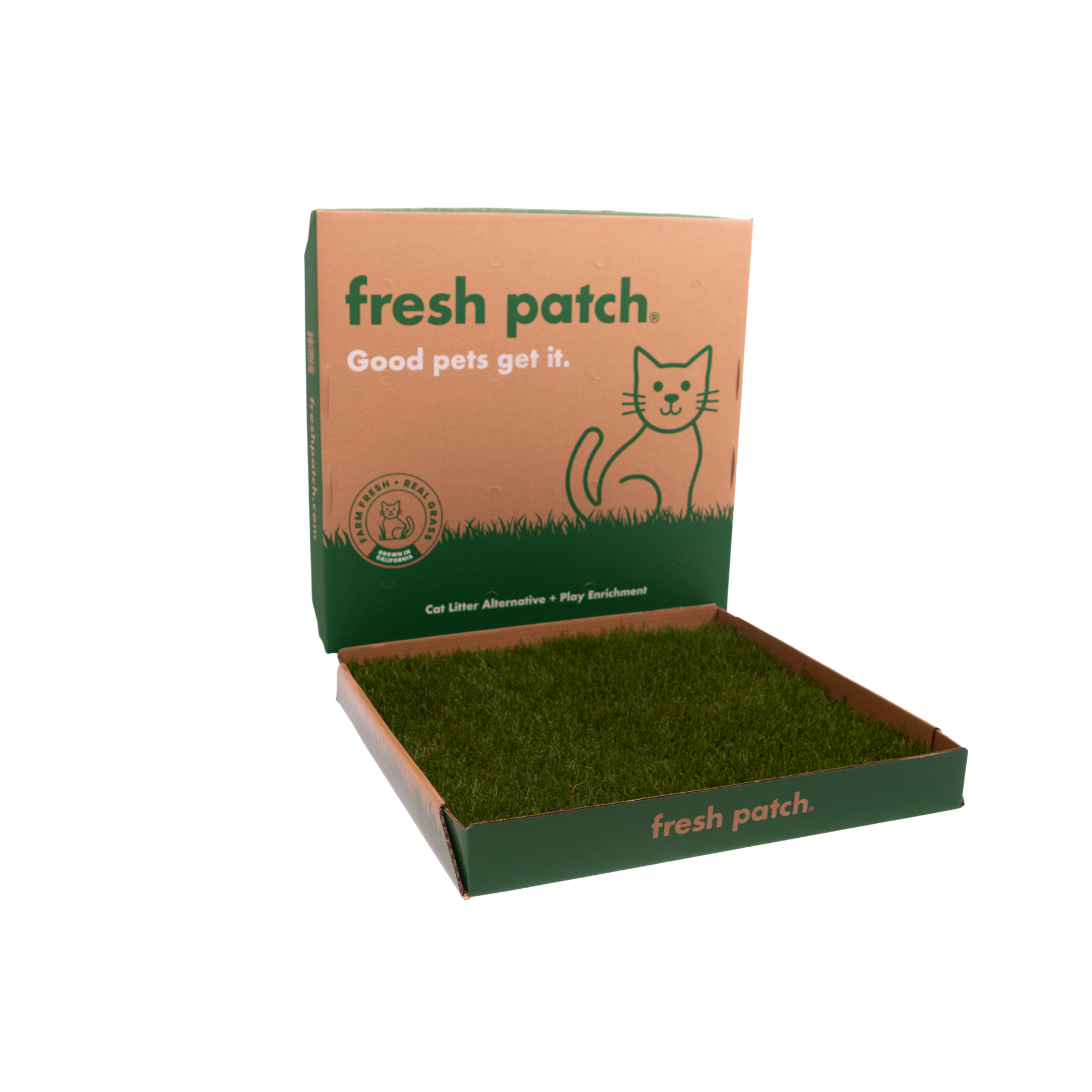 Angled view of grass patch inside a cardboard box with 'fresh patch' branding and another box behind also showing 'fresh patch' branding and a cat logo