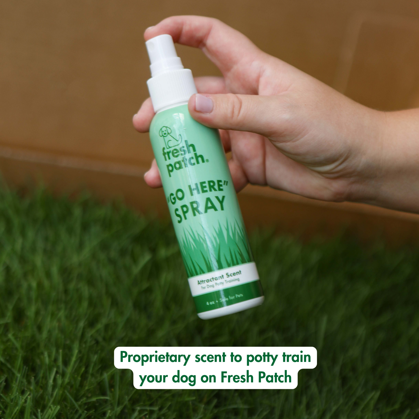 Fresh Patch Go Here Spray Proprietary Scent to Potty Train Your dog on Fresh Patch