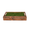 Pet Grass with Wood Sleeve for Bunnies Rabbits Reptiles