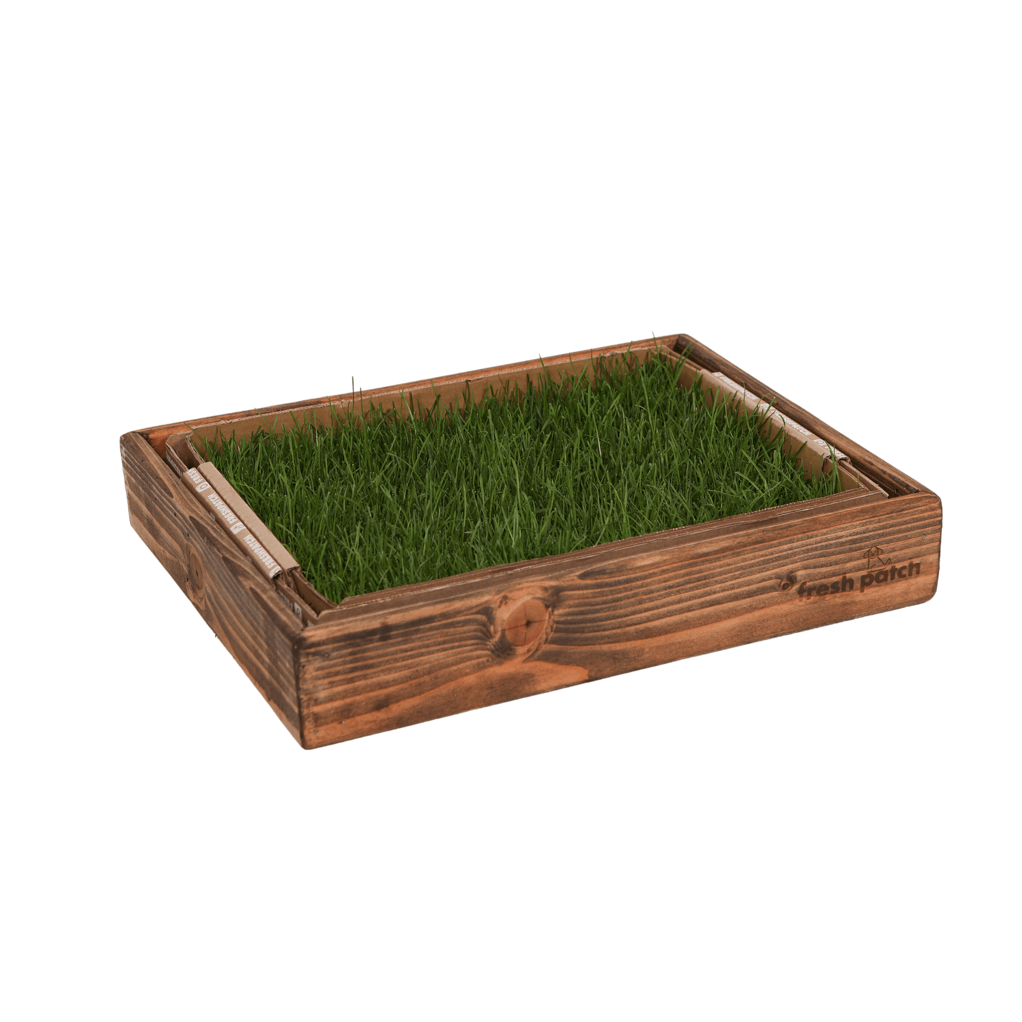 MINI Fresh Patch Grass with Oak Wood Sleeve