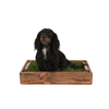 MINI Dachshund Dog Grass Potty Pad with Oak Wood Sleeve