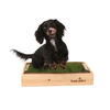 Dog on Mini Wood Sleeve for Fresh Patch Grass