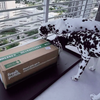 2 Dalmatian Dog sniffing Fresh Patch Grass Potty Package on High-rise City Balcon