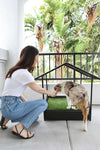 Woman in White Tee and Blue Jeans and Black Sandal with Aussie Shephard on Fresh Patch Dog Cabana with Large Fresh Patch Grass