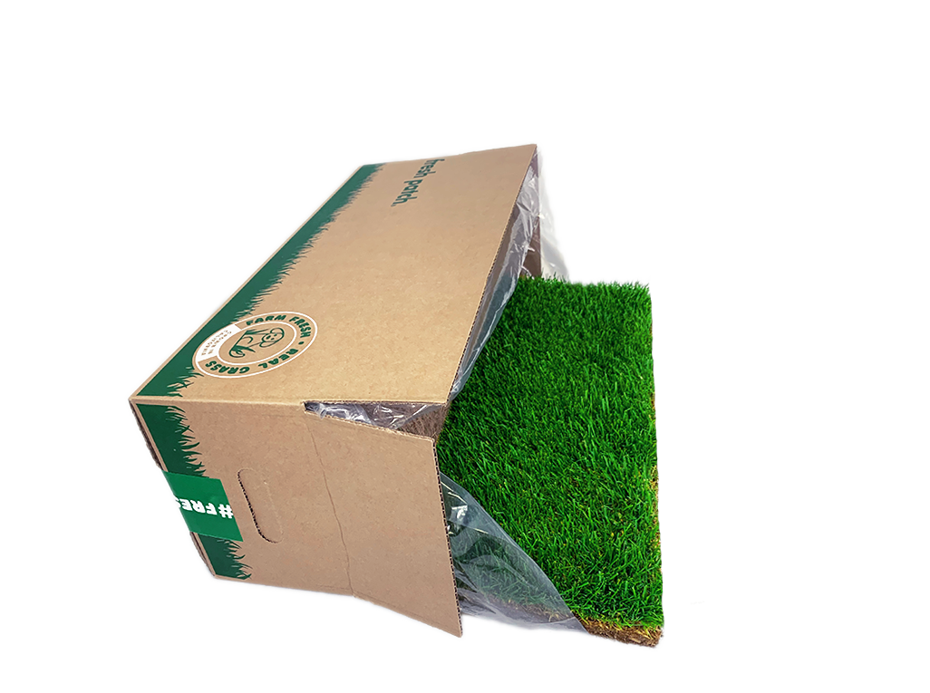 Fake patch of grass dog clearance