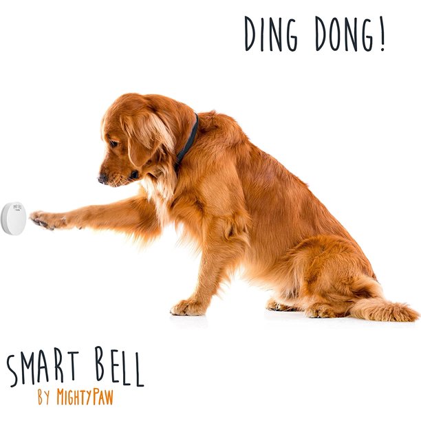 Golden Retriever Dog pushing Smart Door Bell
