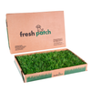 Fresh Patch Standard Pet Grass Potty Delivery Service