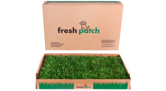 Fresh Patch Standard Grass Dog Potty Delivery