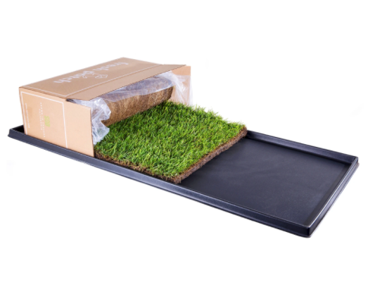 XL Fresh Patch Grass on P Tray for Cats