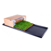 Fresh Patch Grass Half Rolled on Black Plastic Tray