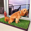 Doodle Mix Dog Going Potty on XL Fresh Patch Grass Pad with Fire Hydrant