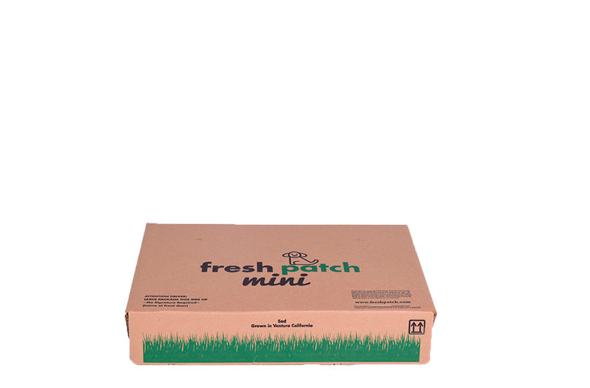 Fresh Patch Mini Box
