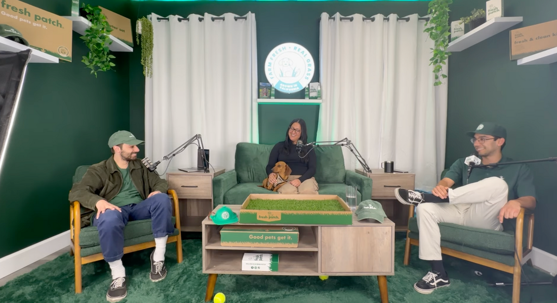 Three people recording a podcast in a green studio, with a woman holding a dachshund on a couch and Fresh Patch grass displayed on a coffee table.