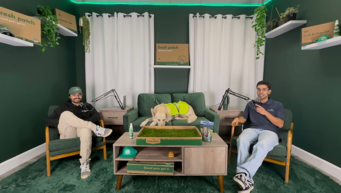 Two podcast hosts sit in a green studio with a dog wearing a vest on a couch between them, with a Fresh Patch grass setup displayed on the table.