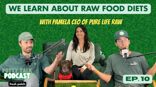 Podcast hosts sit with a guest and her dog in a green studio, discussing raw food diets, with a Fresh Patch grass setup on the table.