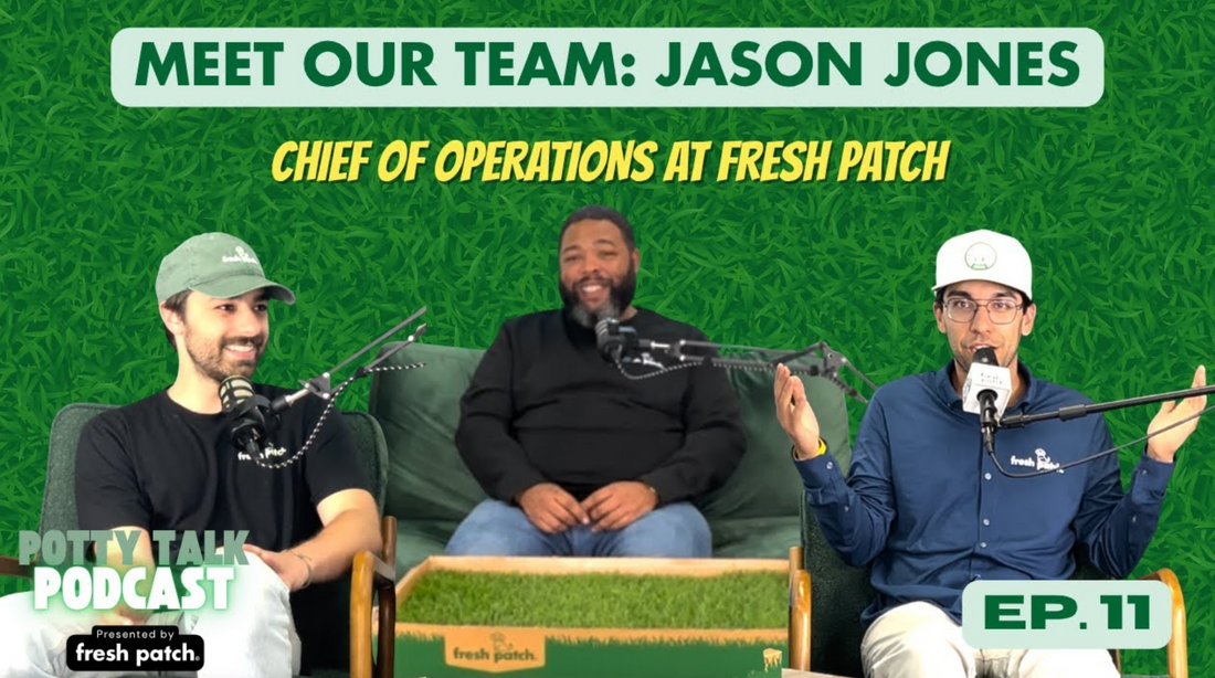 Three men sit for an interview in front of a grass-patterned backdrop with text identifying the guest as Jason Jones, Chief of Operations at Fresh Patch.