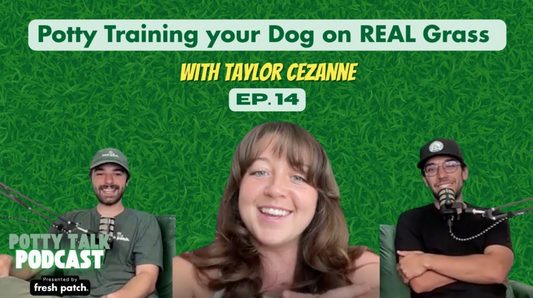 A promotional image for Episode 14 titled "Potty Training your Dog on REAL Grass" featuring guest Taylor Cezanne.