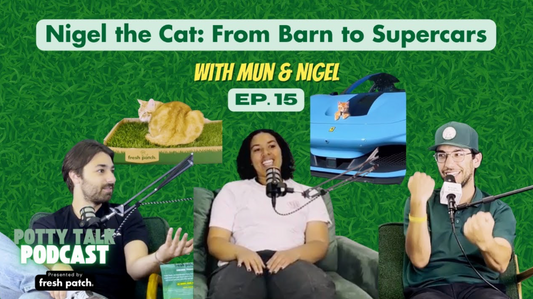 Gemini said A promotional thumbnail with grass background and text for Episode 15, "Nigel the Cat: From Barn to Supercars" featuring Mun & Nigel, showing two cats and three people seated with microphones.