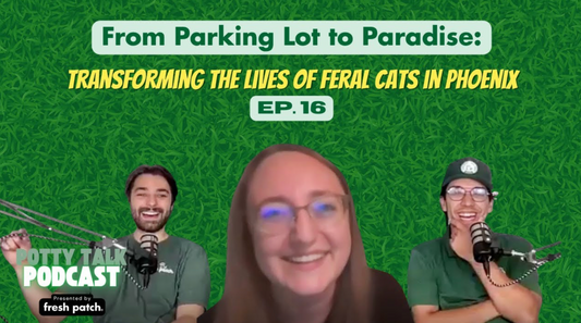 A promotional thumbnail for Episode 16, "From Parking Lot to Paradise: Transforming the Lives of Feral Cats in Phoenix," featuring three people smiling in front of a green grass backdrop.