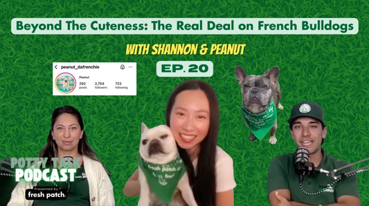 Podcast thumbnail with green grass background reading “Beyond the Cuteness: The Real Deal on French Bulldogs,” featuring a woman holding a French bulldog, another bulldog in a bandana, and two podcast hosts.