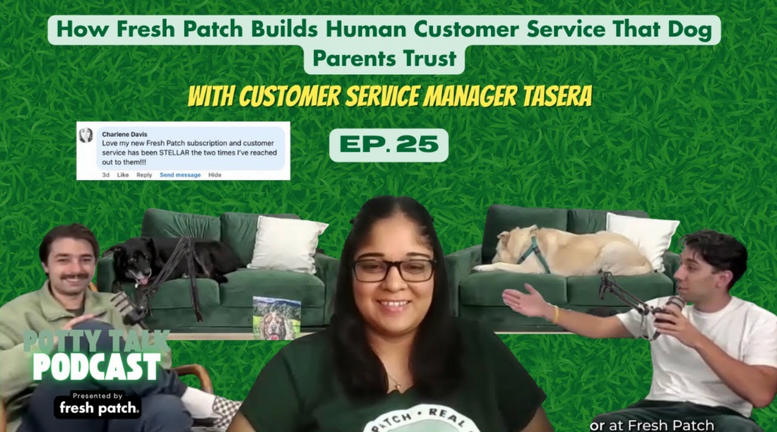 Podcast promo for “Potty Talk Podcast” Episode 25 about Fresh Patch customer service, featuring three hosts, two dogs on couches, and a central guest, with a green grass background and “Presented by Fresh Patch.”