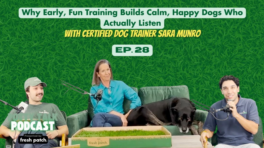 A thumbnail for Potty Talk Podcast Episode 28 featuring two hosts, dog trainer Sara Munro, and a large dog on a couch, with text about how early, fun training builds calm dogs.