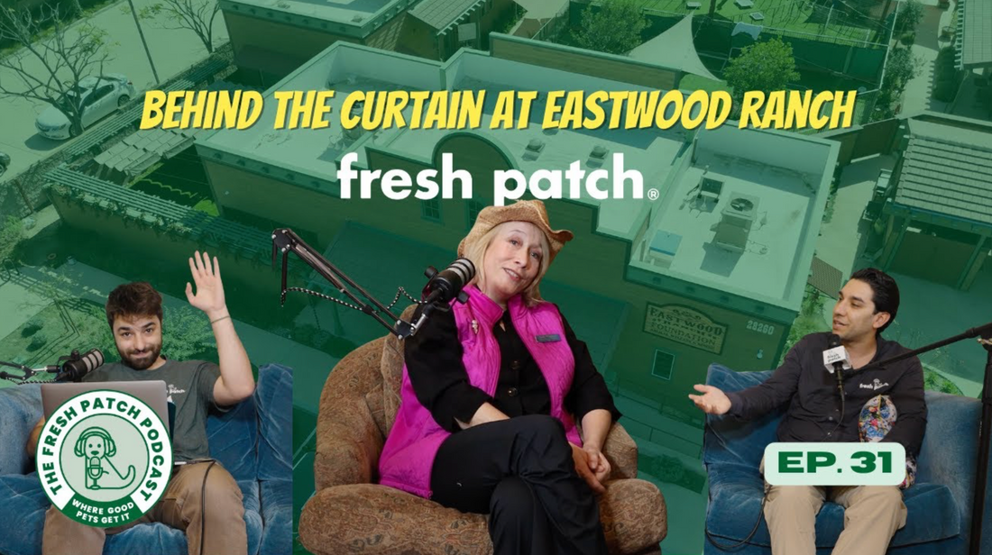 A thumbnail for The Fresh Patch Podcast Episode 31 featuring two hosts and a guest wearing a cowboy hat and pink vest, with text reading "BEHIND THE CURTAIN AT EASTWOOD RANCH."