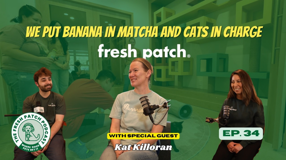 A thumbnail for The Fresh Patch Podcast Episode 34 featuring two hosts and special guest Kat Killoran, with text reading "WE PUT BANANA IN MATCHA AND CATS IN CHARGE."