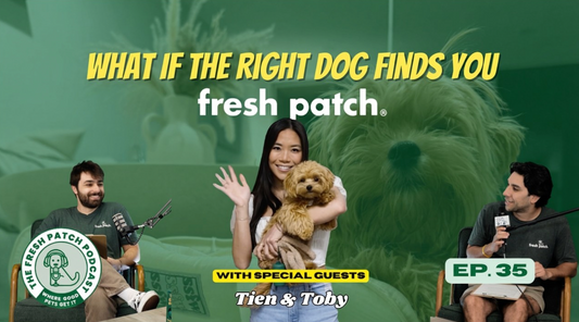 A thumbnail for The Fresh Patch Podcast Episode 35 featuring two hosts and special guests Tien & Toby, with Tien holding a small brown dog, and text reading "WHAT IF THE RIGHT DOG FINDS YOU."