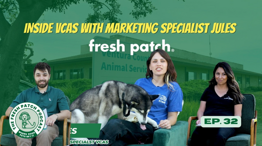 A thumbnail for The Fresh Patch Podcast Episode 32 featuring two hosts and guest Jules holding a husky, set against the VCAS building with text reading "INSIDE VCAS WITH MARKETING SPECIALIST JULES."