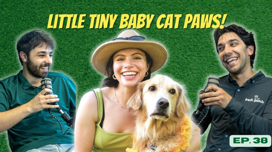 A thumbnail for The Fresh Patch Podcast Episode 38 featuring two hosts and a guest in a sun hat with a golden retriever wearing a yellow lei, with text reading "LITTLE TINY BABY CAT PAWS!"