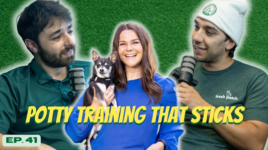 A thumbnail for The Fresh Patch Podcast Episode 41 featuring two hosts and a guest in a blue shirt holding a small dog, with text reading "POTTY TRAINING THAT STICKS."