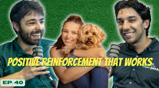 A thumbnail for The Fresh Patch Podcast Episode 40 featuring two hosts and a guest hugging a fluffy brown dog, with text reading "POSITIVE REINFORCEMENT THAT WORKS."
