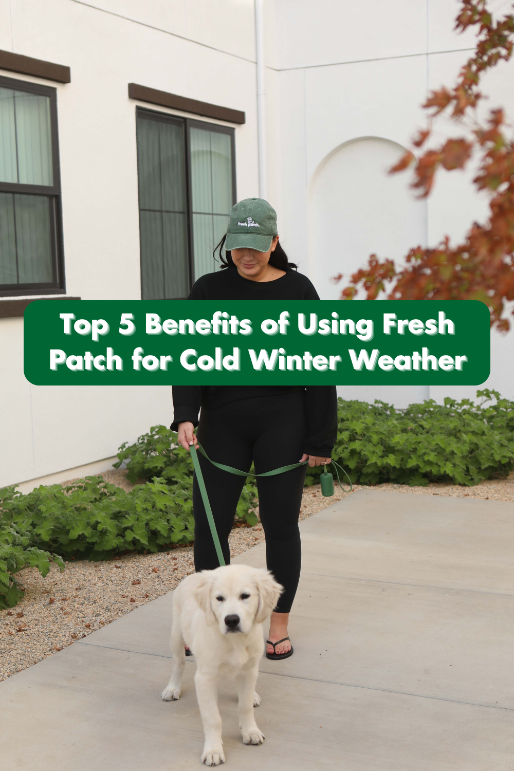 Top 5 Benefits of Using Fresh Patch for Cold Winter Weather