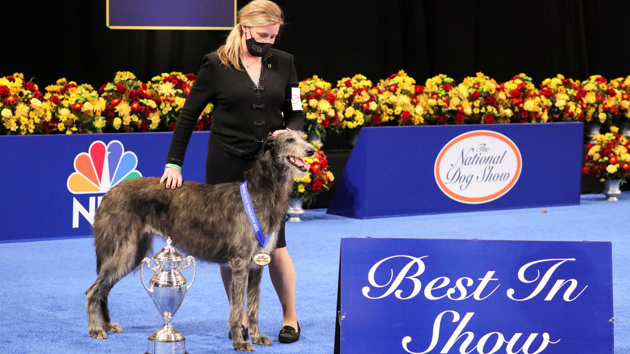 2021 National Dog Show Review