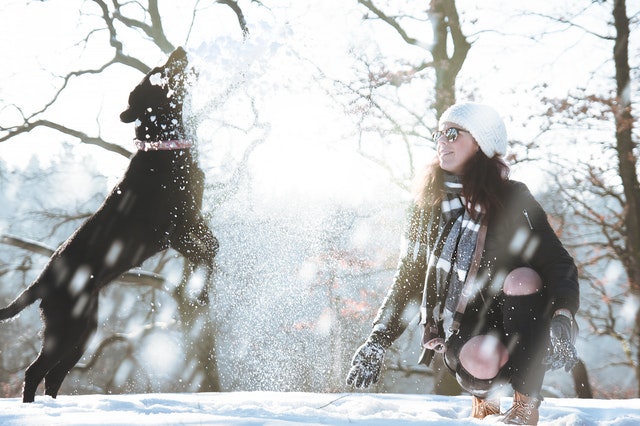 How to Introduce Your Pup to Snow