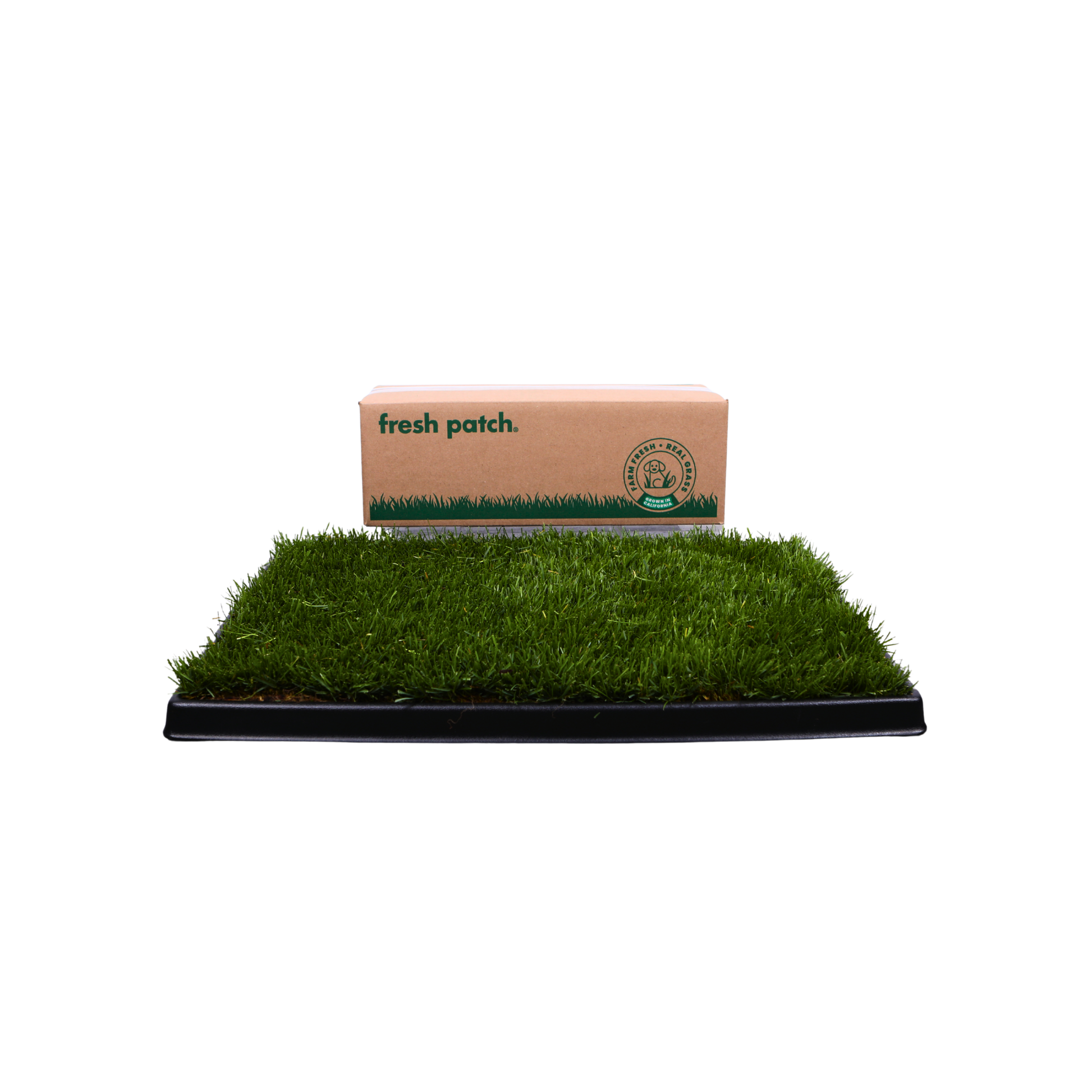 A rectangular patch of green artificial grass in a black tray, shown with its tan cardboard packaging box behind it on a white background. The box has the brand name 'fresh patch.