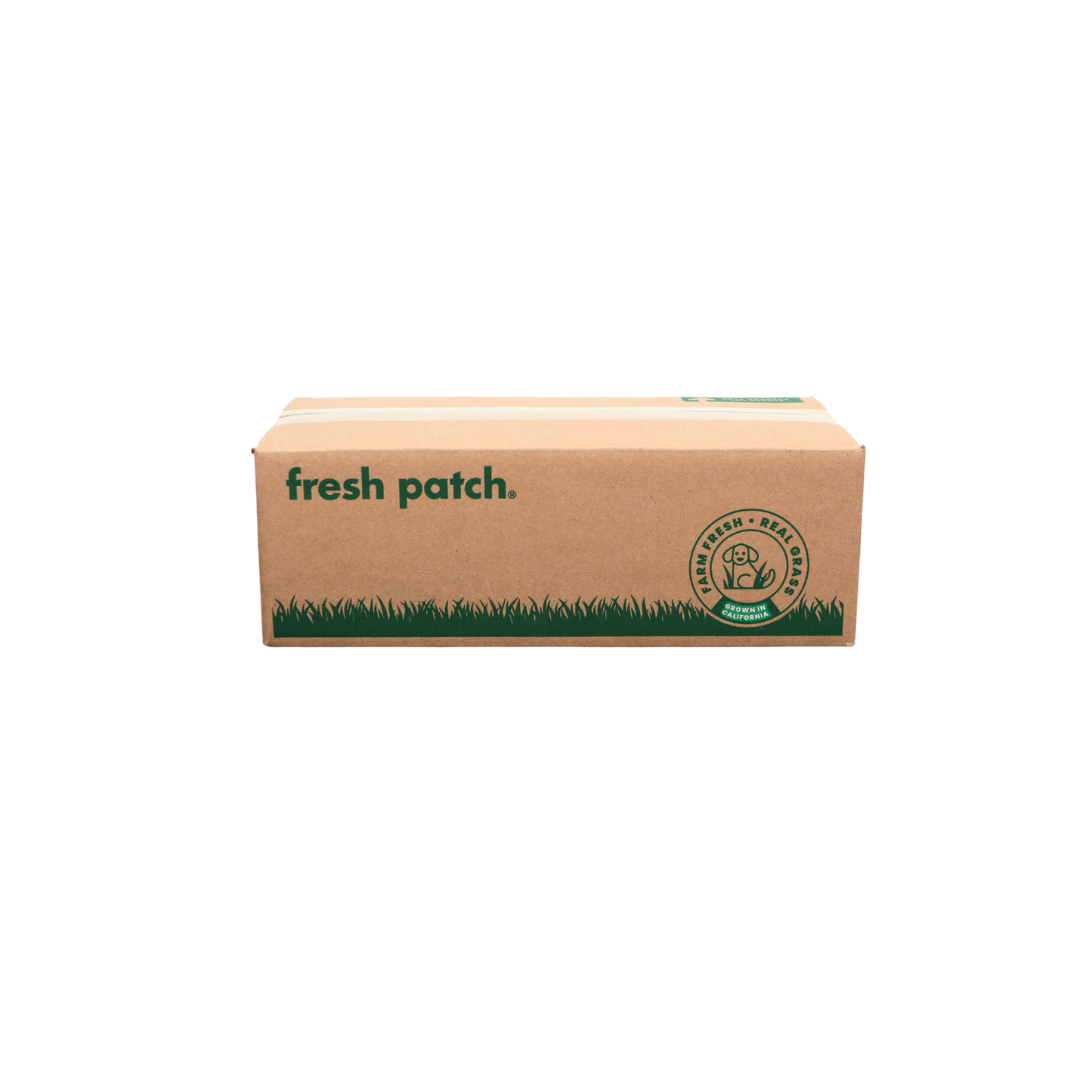 A brown cardboard box for Fresh Patch, featuring green printed text and a grass graphic, on a solid white background.