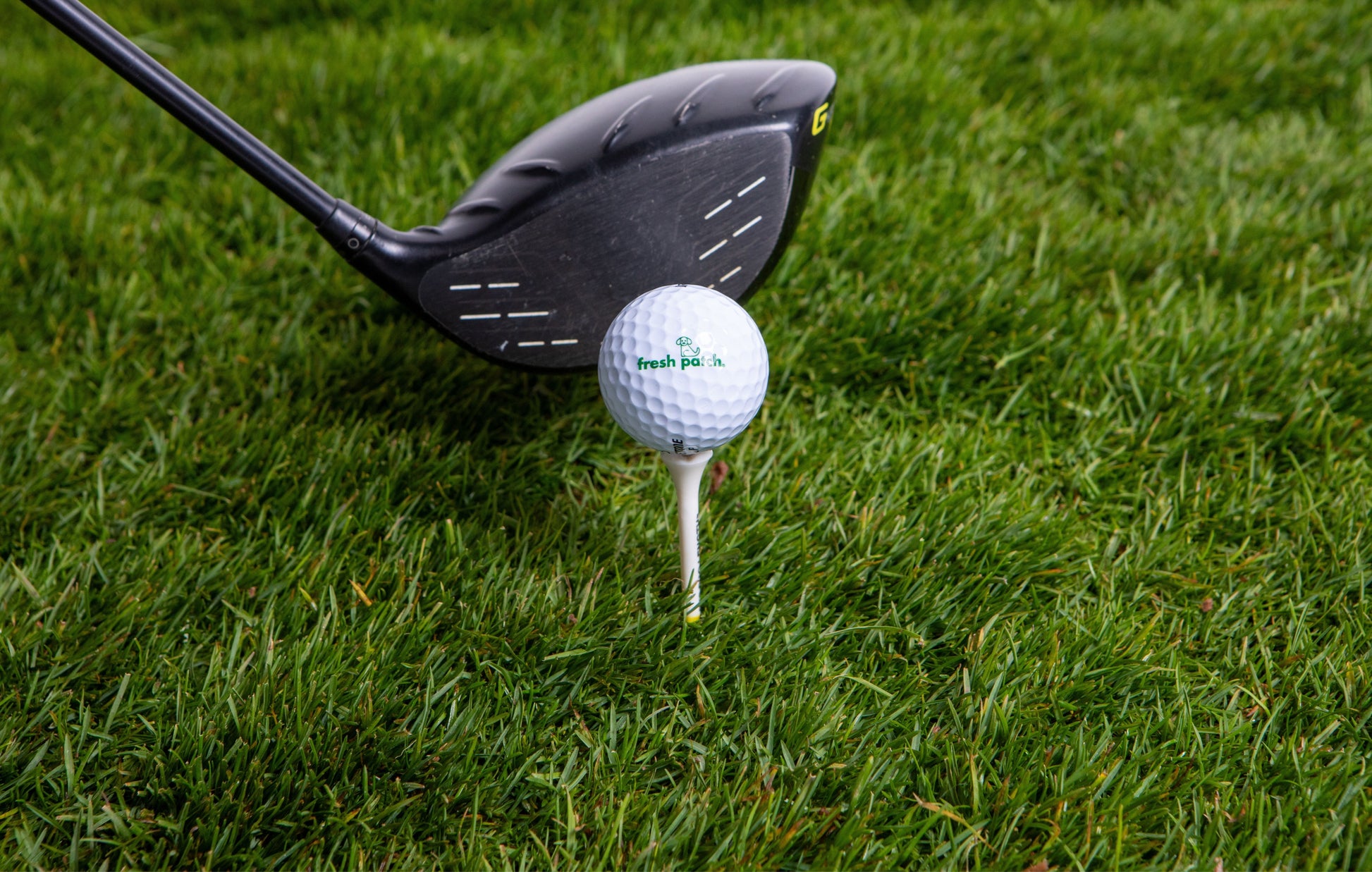 Golf club and ball on a tee in grass