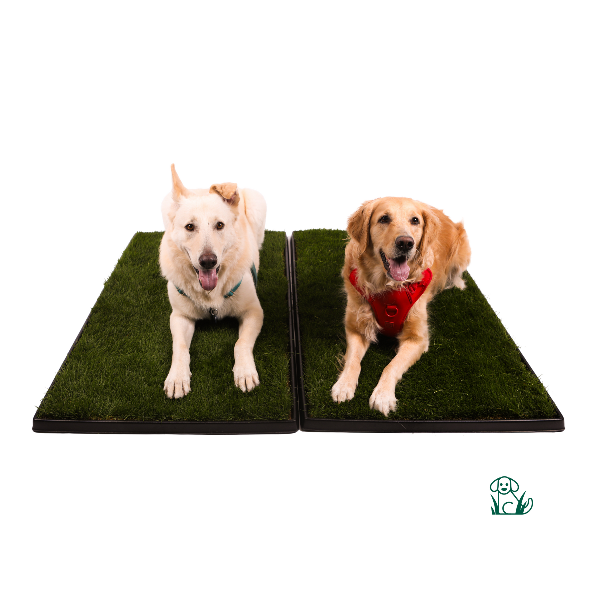 Double XL Combo Pack (Grass and Tray)