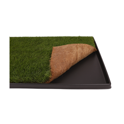 Close-up of green grass on black tray with corner folded over