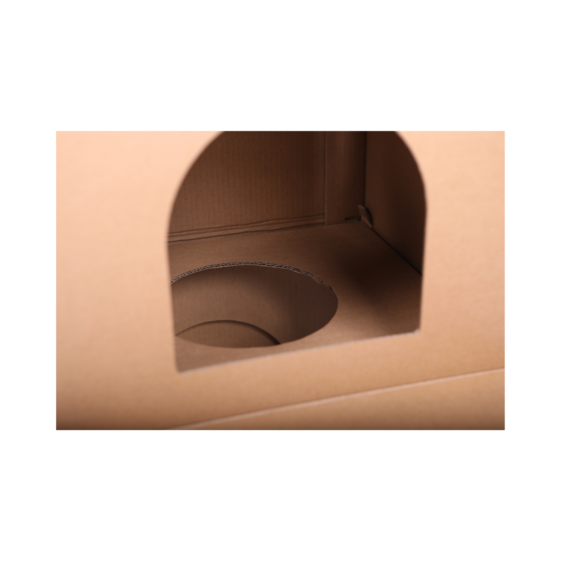 Close-up of a brown cardboard box with a window on a white background