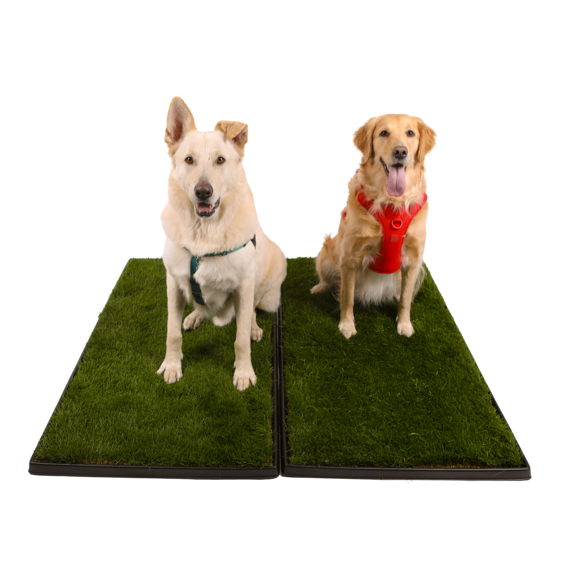 Double XL Combo Pack (Grass and Tray)
