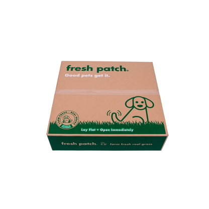 Cardboard box with 'fresh patch' branding on a white background