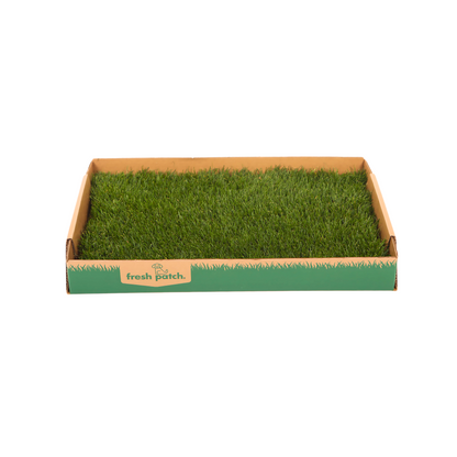 Box of real grass with 'fresh patch' branding on a white background