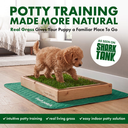 A fluffy apricot puppy stepping onto a Fresh Patch grass tray in a wooden frame on a green pad in a living room. Text reads: Potty training made more natural. Real grass gives your puppy a familiar place to go. As seen on Shark Tank. Intuitive potty training. Real living grass. Easy indoor potty solution.