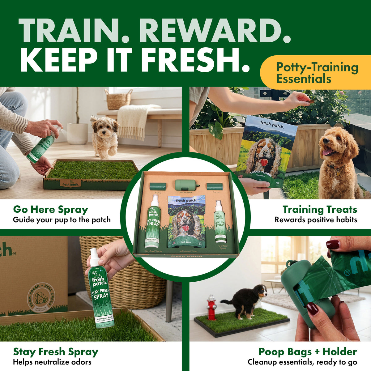 Four photos around a center image of the Fresh Patch accessory box. Text reads: Train. Reward. Keep it fresh. Potty-training essentials. Top left, a person sprays a bottle on a grass patch as a small puppy walks toward it, labeled Go Here Spray: Guide your pup to the patch. Top right, a person offers a treat to a curly-haired dog, labeled Training Treats: Rewards positive habits. Bottom left, a hand holds a spray bottle above a grass patch, labeled Stay Fresh Spray: Helps neutralize odors. Bottom right, a h