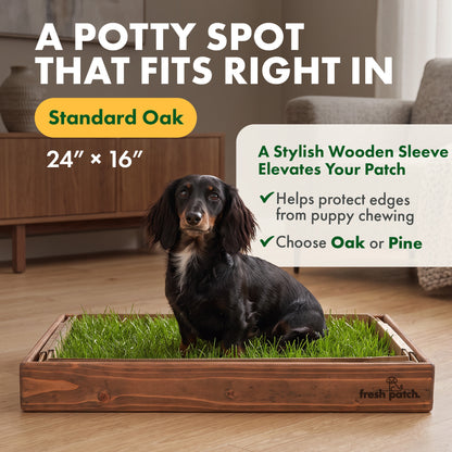 Black and tan dachshund sitting on a Fresh Patch grass tray in a pine wood frame in a living room. Text reads: A potty spot that fits right in. Standard Oak, 24 by 16 inches. A stylish wooden sleeve elevates your patch. Helps protect edges from puppy chewing. Choose Oak or Pine.